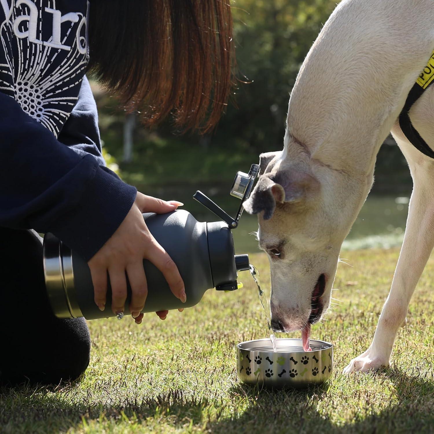 Botella de Agua Aislada GiNT 37oz para Perros y Humanos