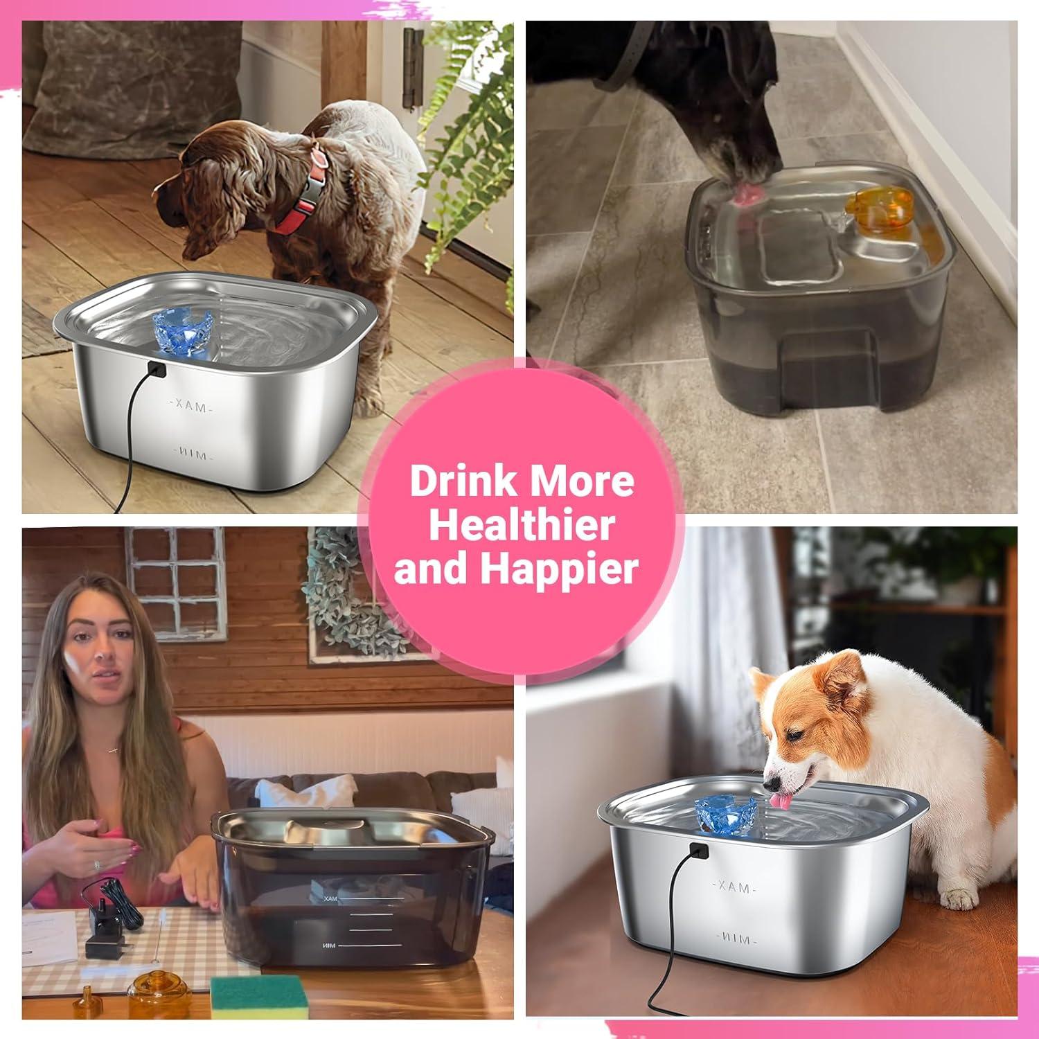 Filtros de Reemplazo PETDOTT para Fuente de Agua para Perros - 4 Paquetes