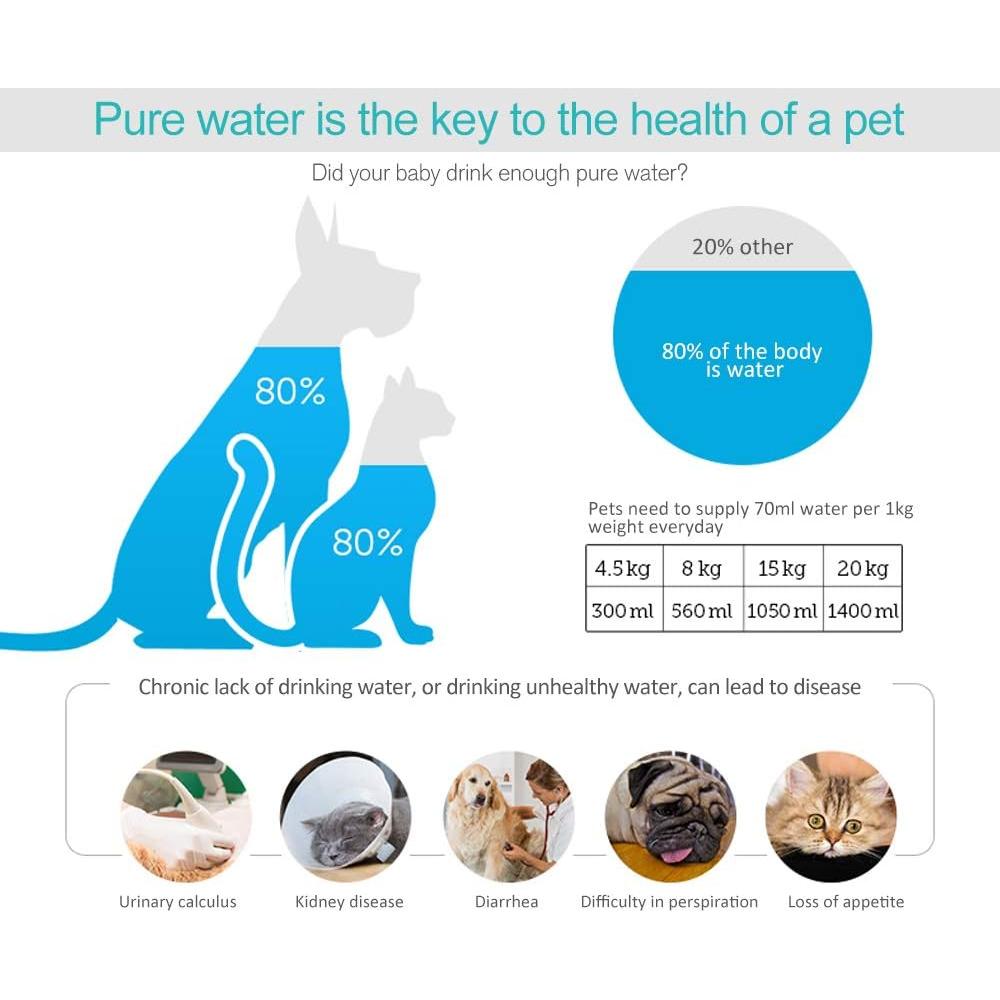 Filtro de Carbón Premium HiWater para Fuentes Drinkwell - 12 Unidades