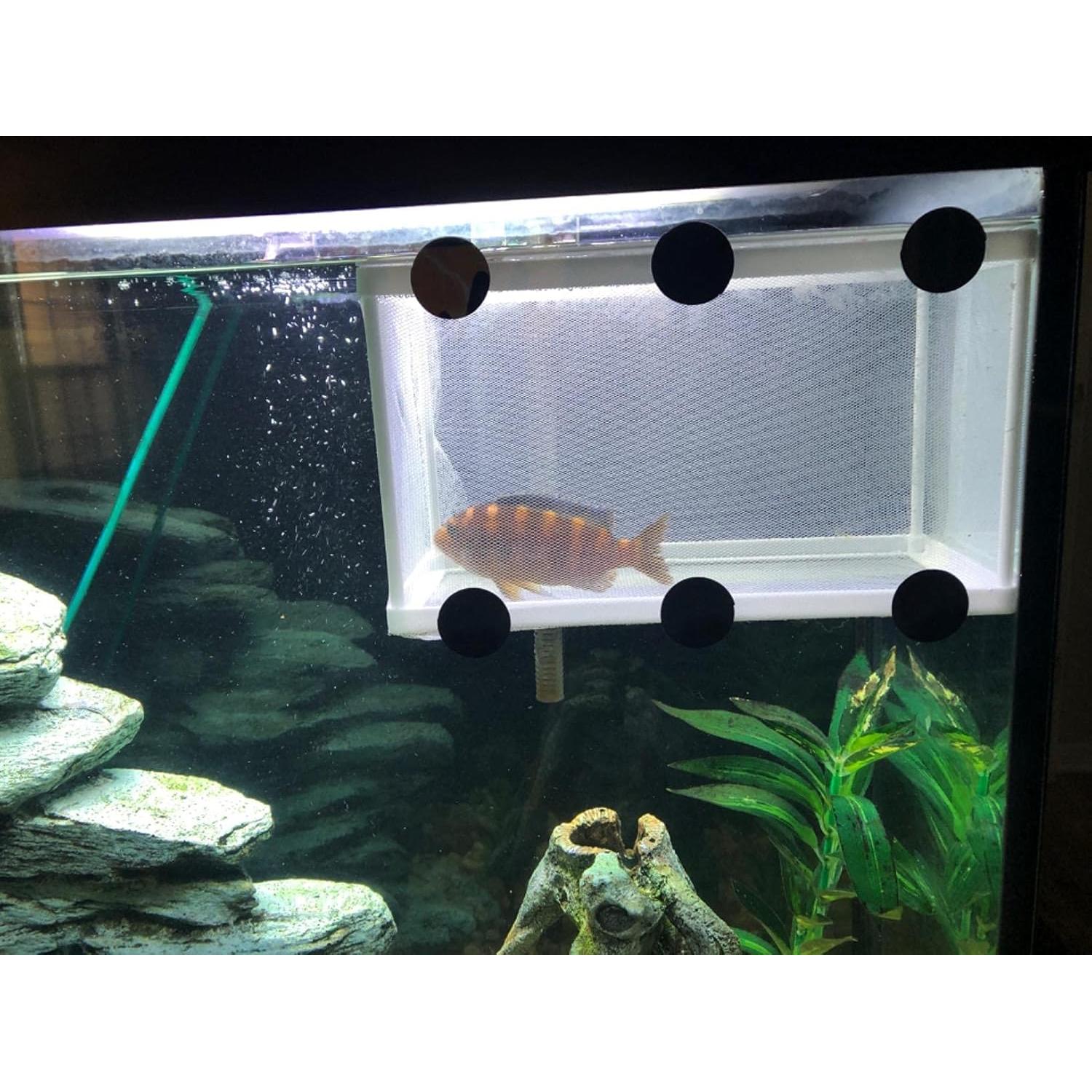 Red de cría de peces XIAOLONGLEE 26x15 cm con ventosas