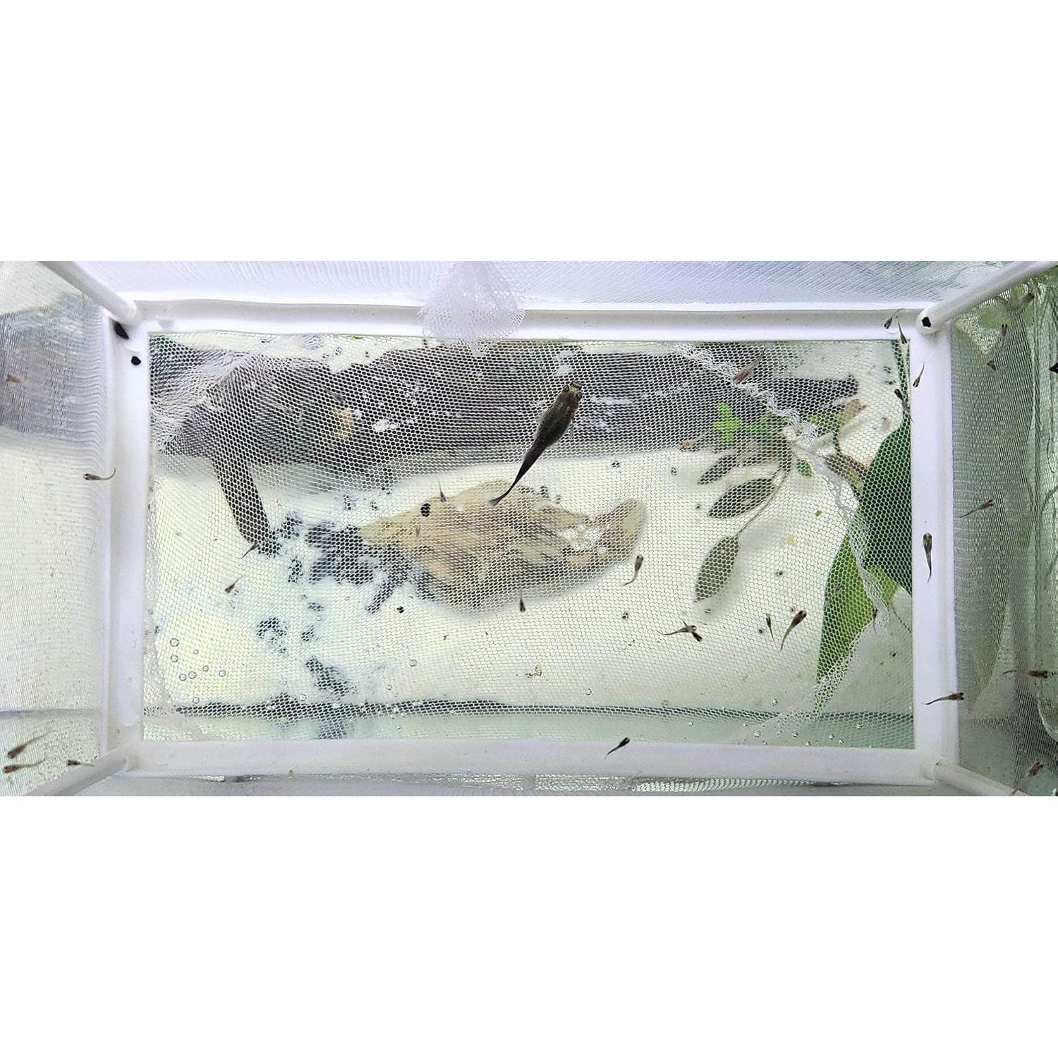 Red de cría de peces XIAOLONGLEE 26x15 cm con ventosas