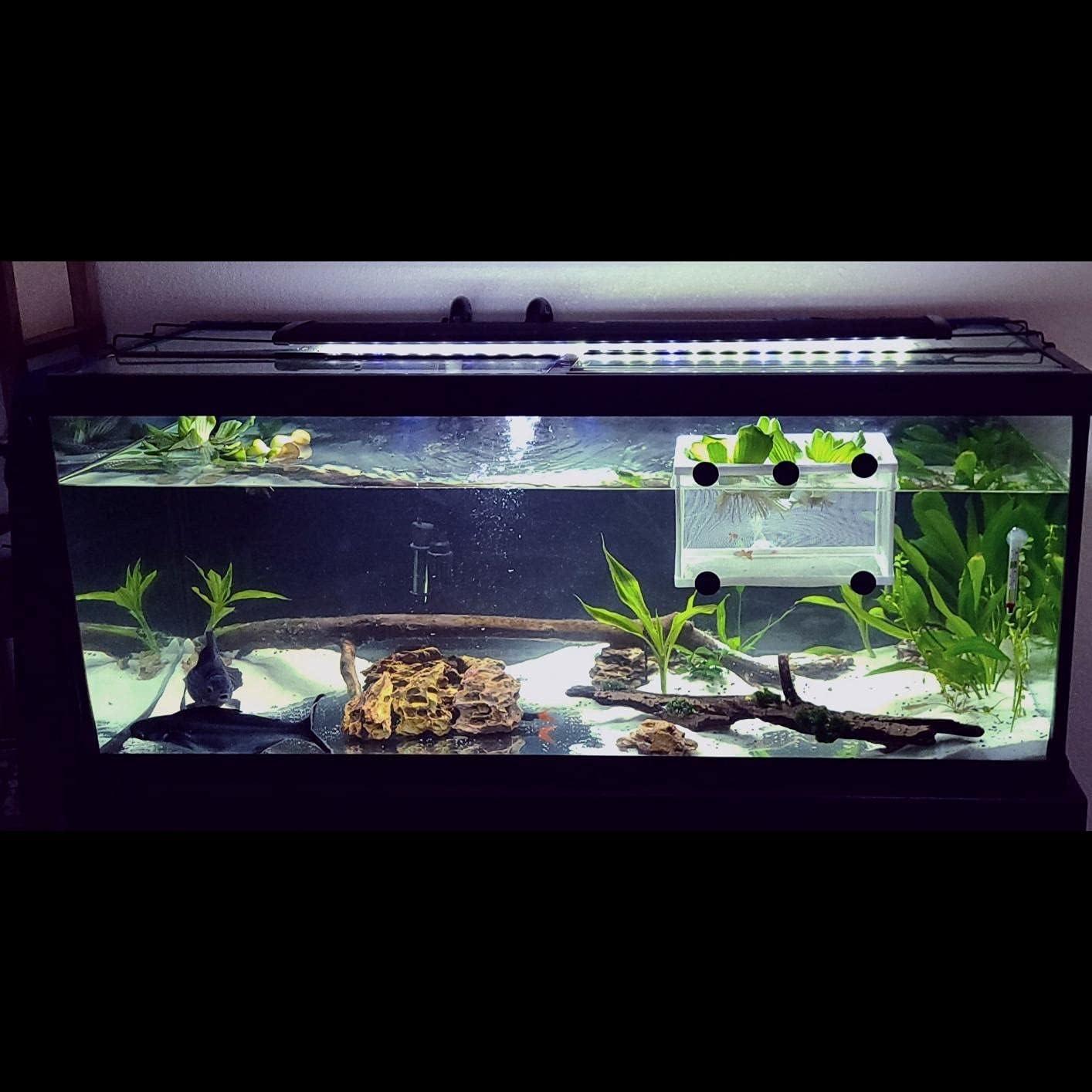 Red de cría de peces XIAOLONGLEE 26x15 cm con ventosas