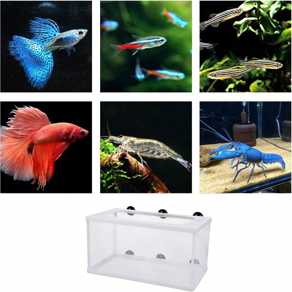 Red de cría de peces XIAOLONGLEE 26x15 cm con ventosas