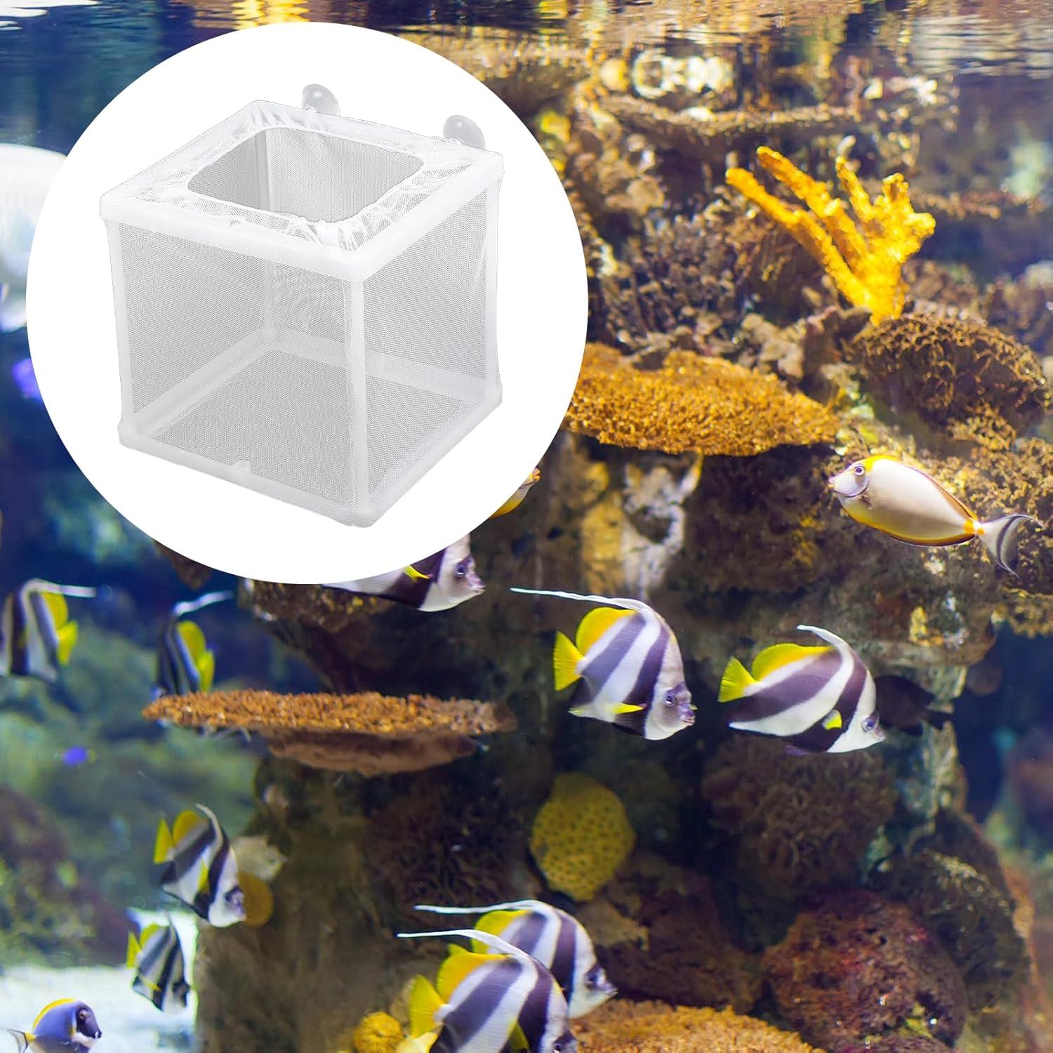 Caja Criadora de Peces FdcLixuvol 2 Piezas Malla Nylon 16x14x15cm