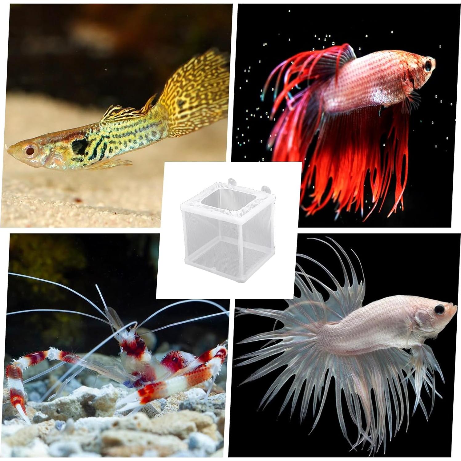 Caja Criadora de Peces FdcLixuvol 2 Piezas Malla Nylon 16x14x15cm