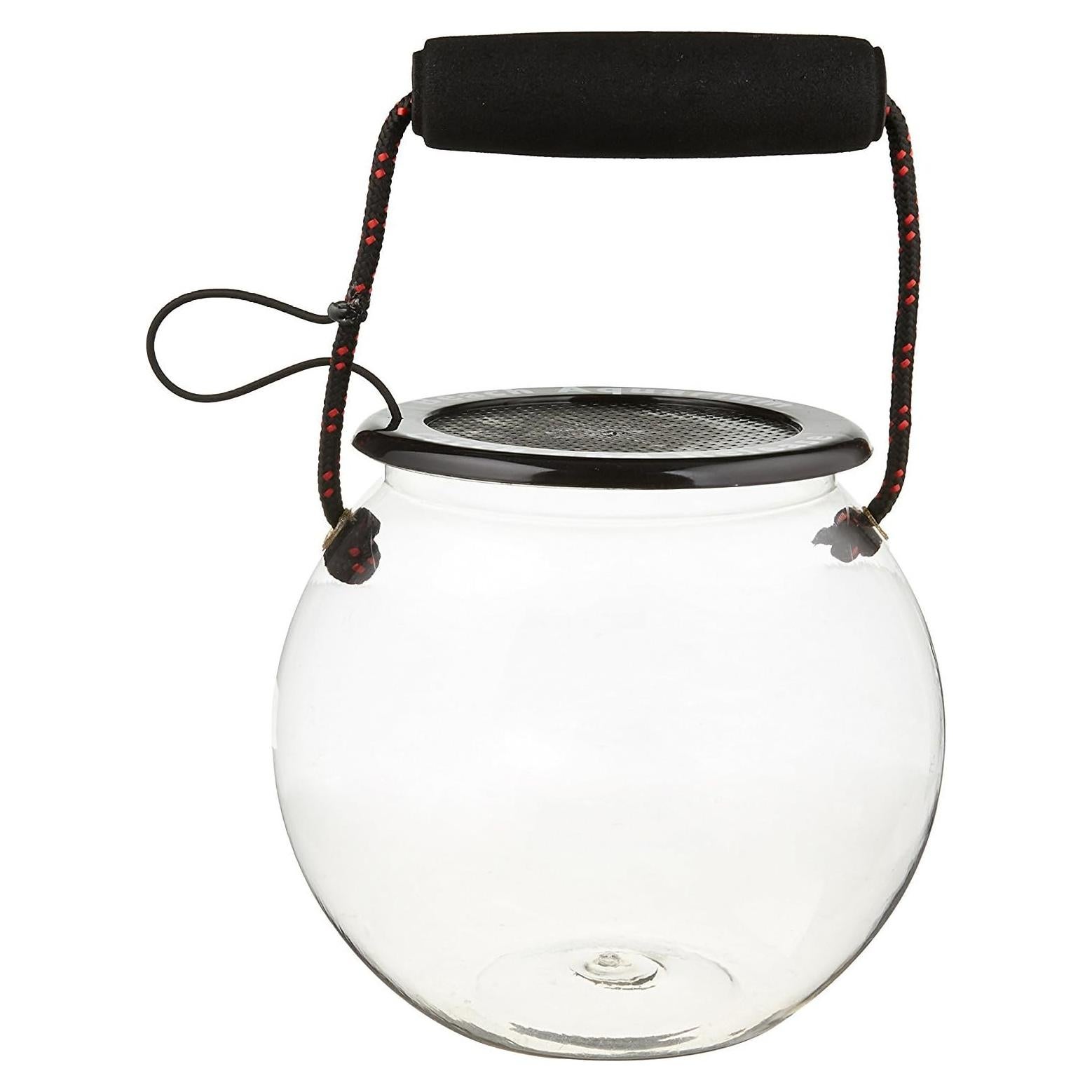 Acuario de Playa Dry Branch 20x20x17 cm, Kit Educativo