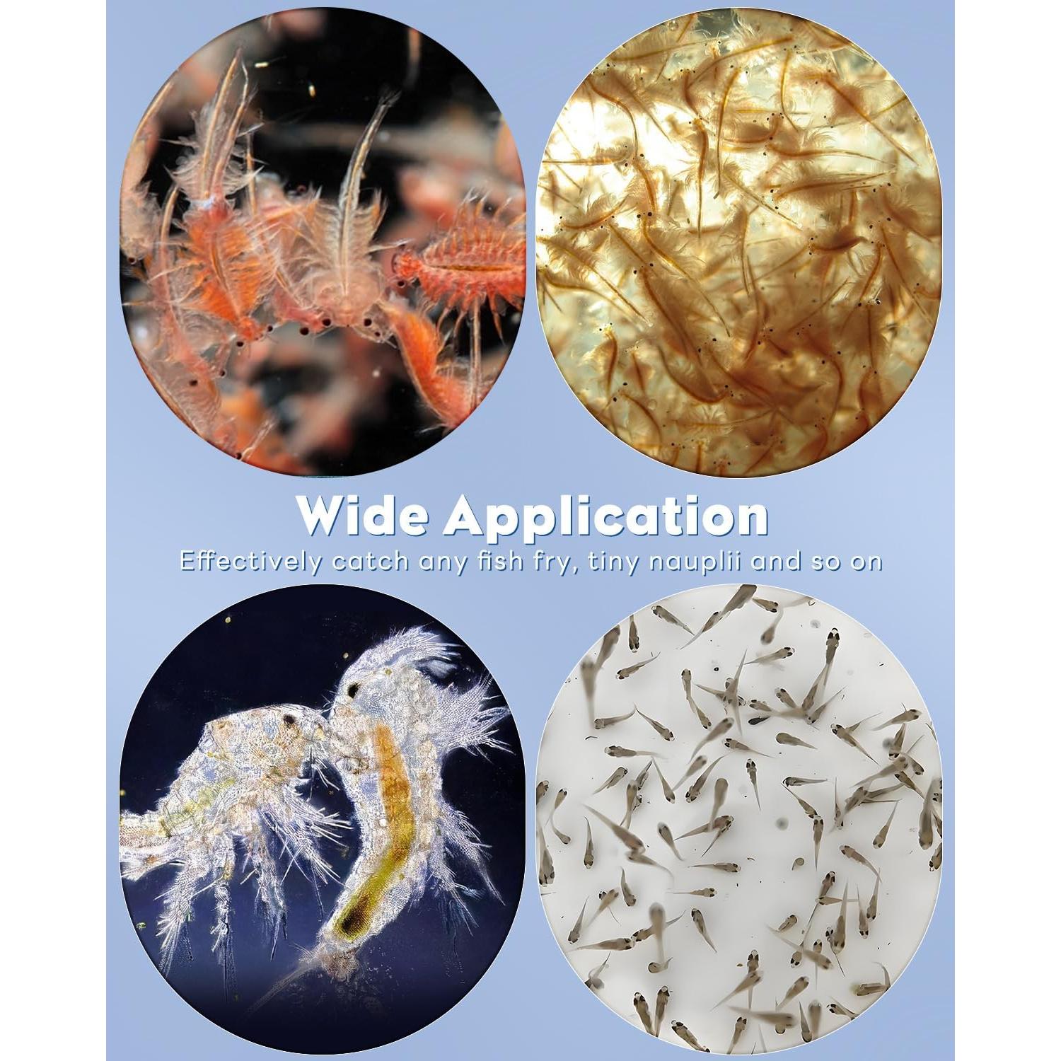 Red de Pesca Pawfly Plegable con Malla de Nailon para Alevines