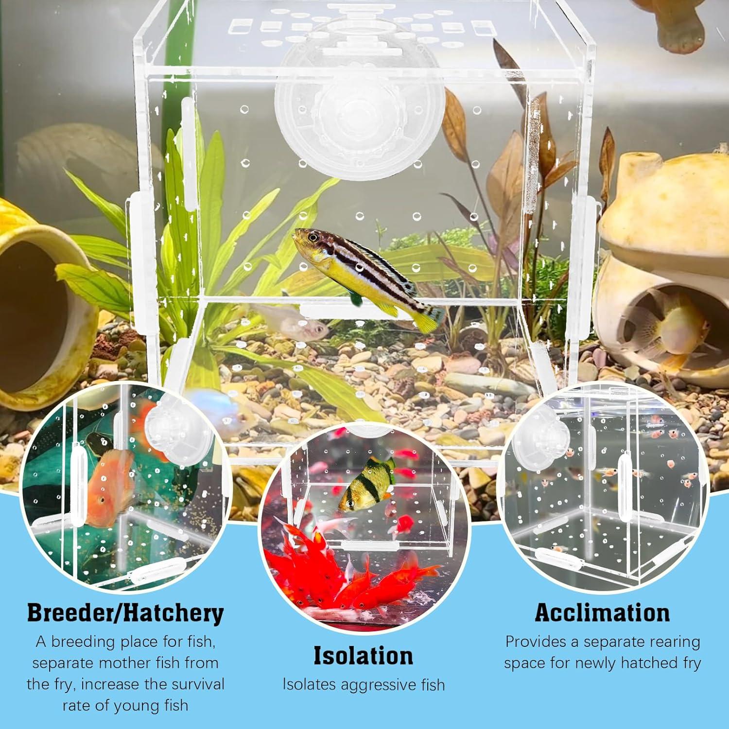 Caja de Aislamiento de Cría de Acrílico Hamiledyi 9.9x9.9 cm