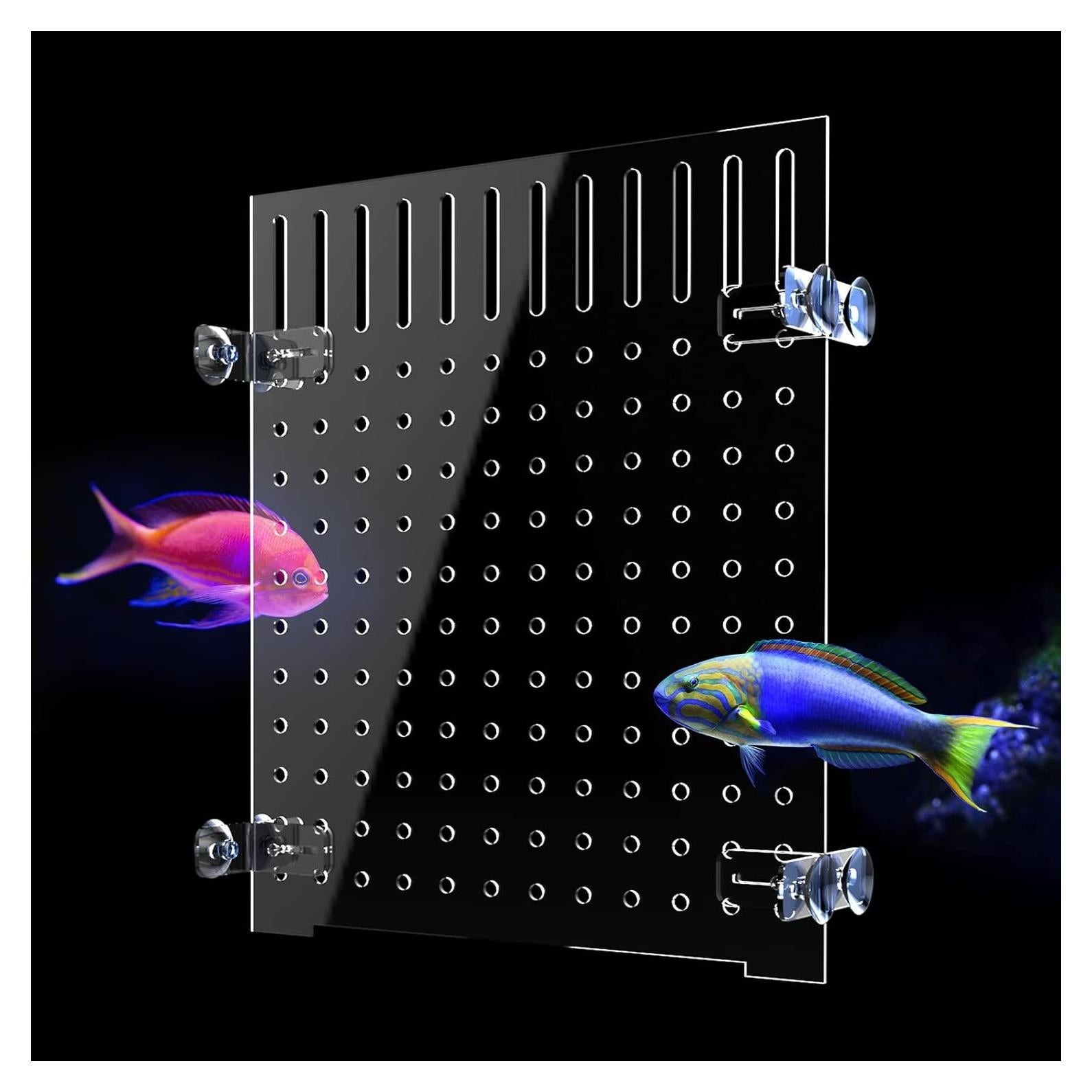 Divisor de Acuario Acrílico KeaJuidy 25x30 cm con 8 Ventosas