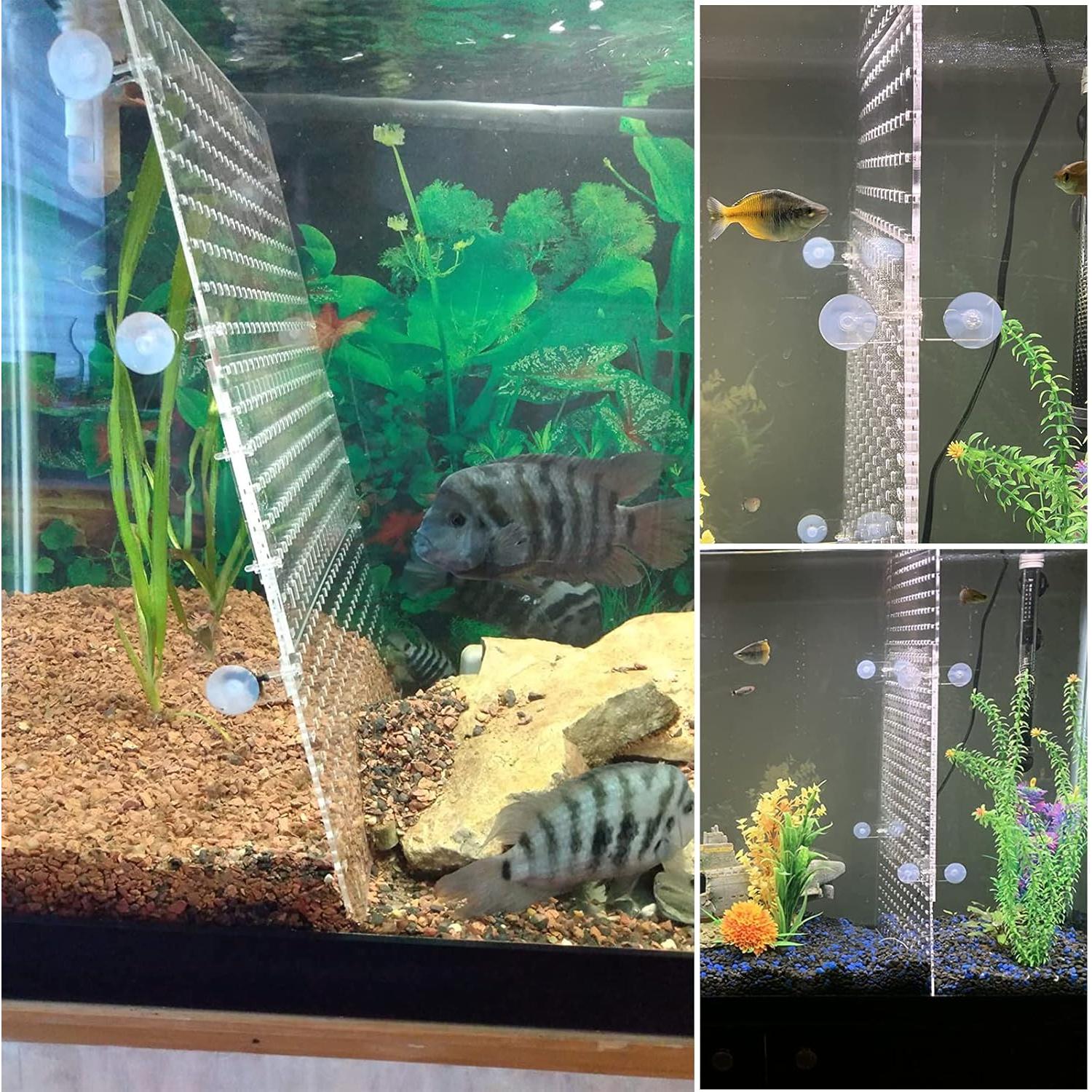 Divisor de Acuario Acrílico KeaJuidy 25x30 cm con 8 Ventosas