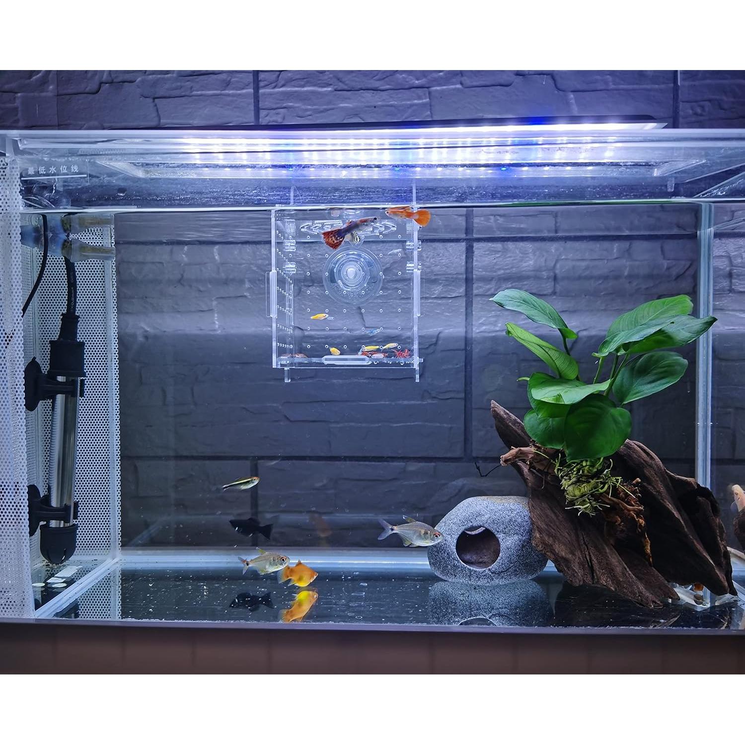 Caja de cría de peces acrílica AWXZOM 9.9x9.9x9.9 cm