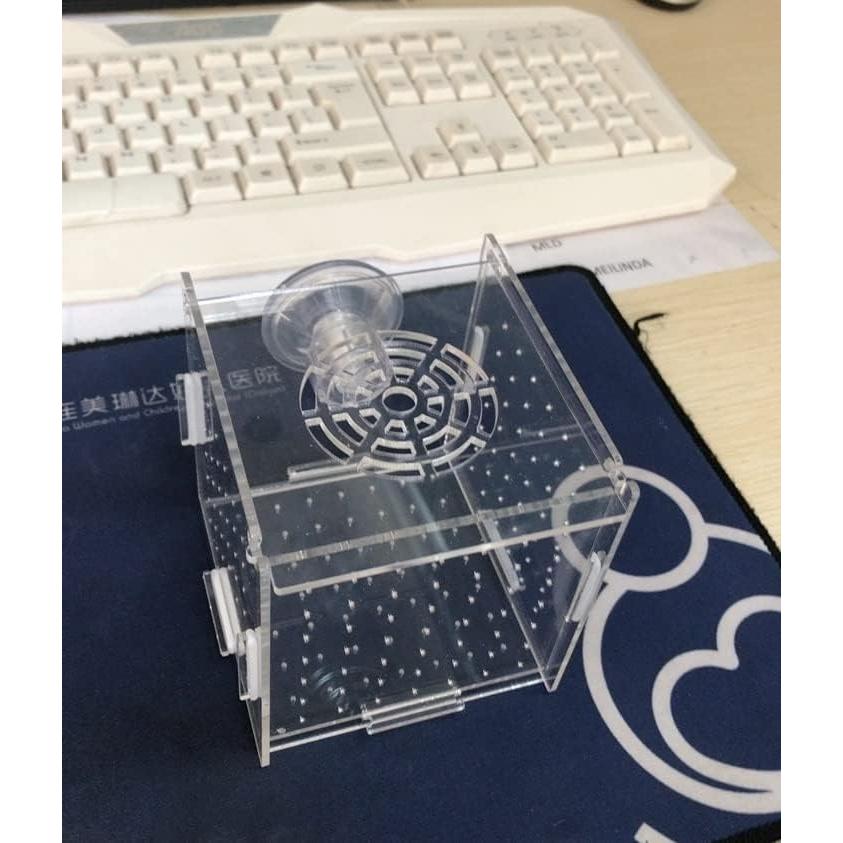 Caja de cría de peces acrílica AWXZOM 9.9x9.9x9.9 cm