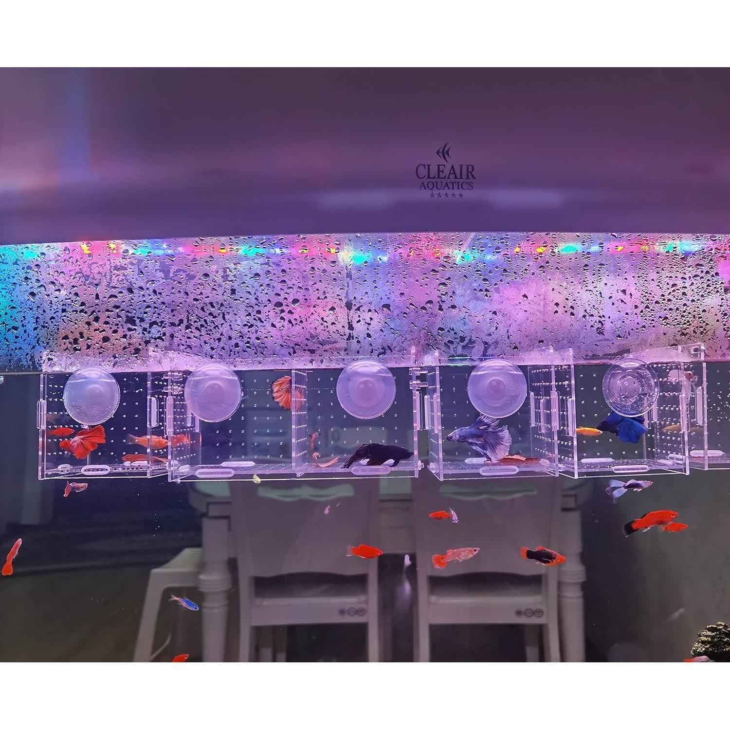 Caja de cría de peces acrílica AWXZOM 9.9x9.9x9.9 cm