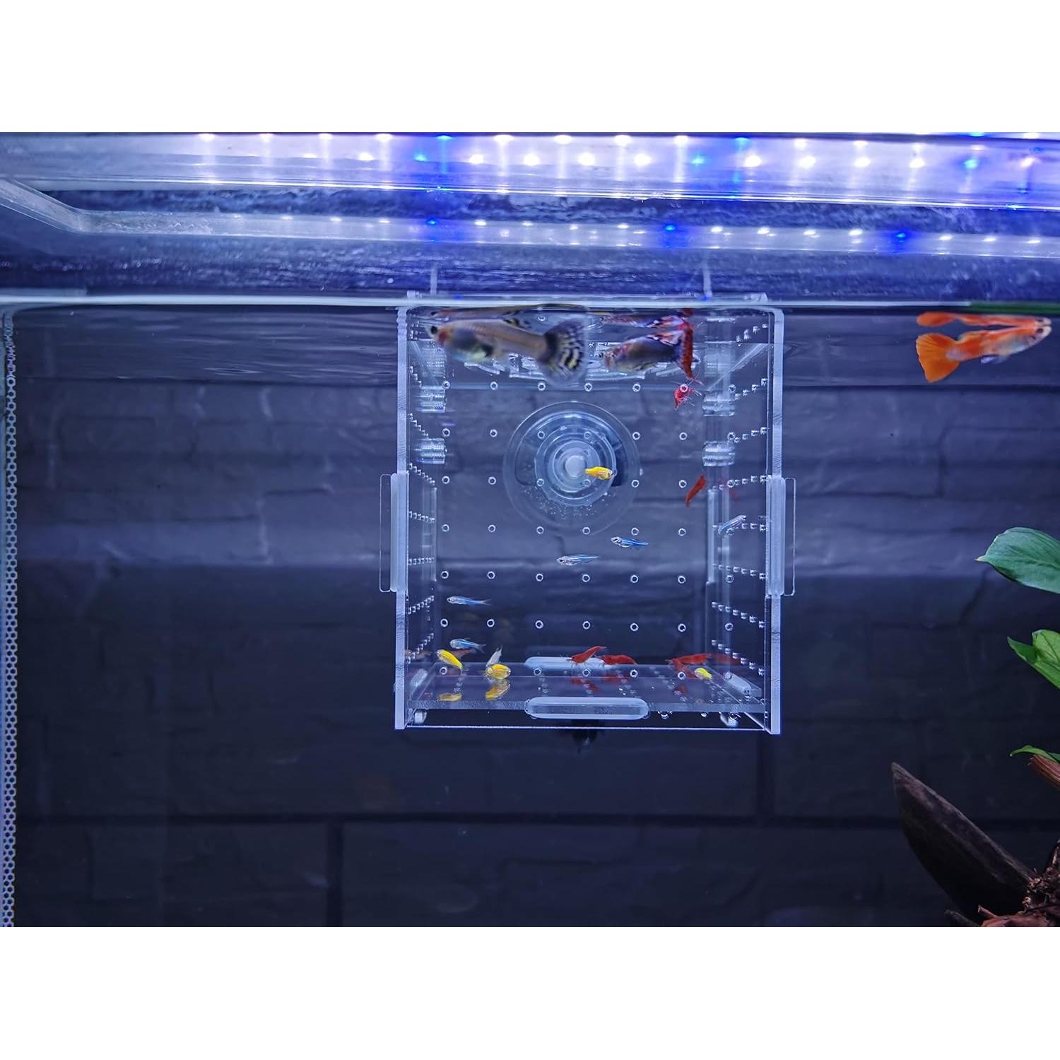 Caja de cría de peces acrílica AWXZOM 9.9x9.9x9.9 cm