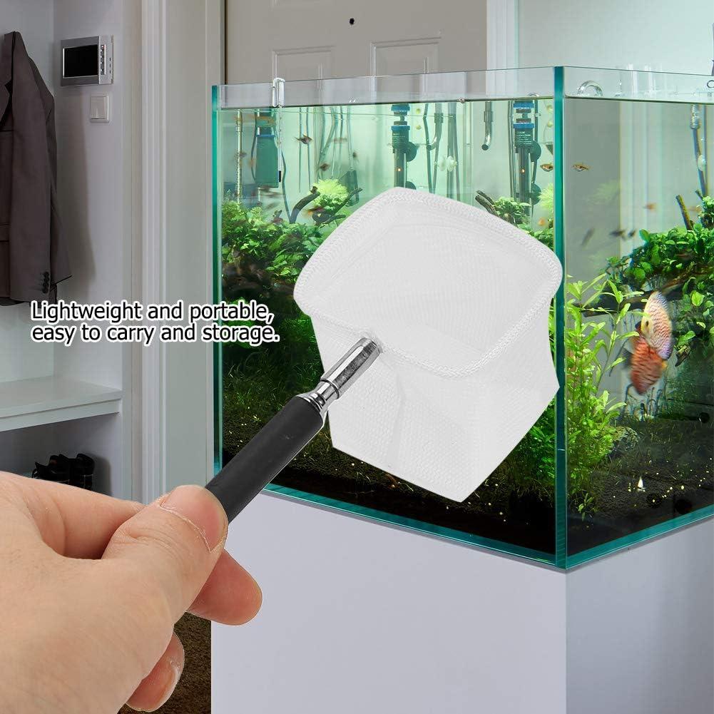 Red de Skimming para Pescado y Camarón Koulate - 4 Piezas, Mango Telescópico