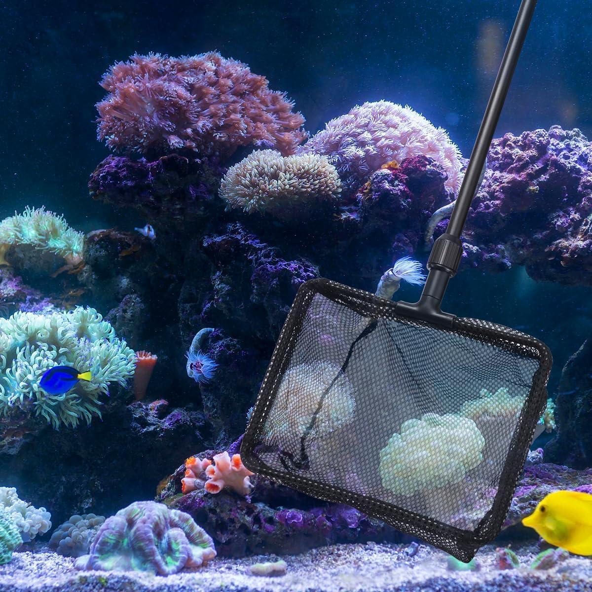 Red de Pesca POPETPOP Telescópica para Acuario 0.9m