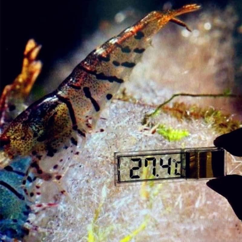 Termómetro LCD 3D Acxico - 2 Pcs Medición Electrónica Acuario