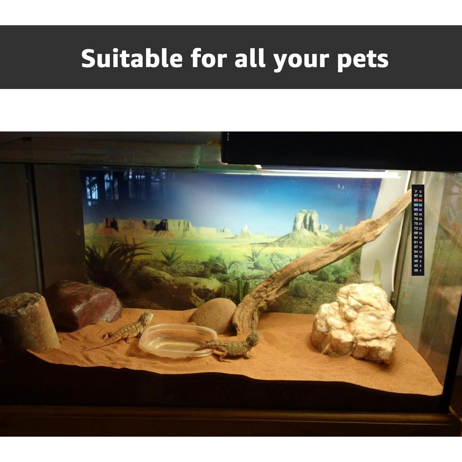 Termómetro Adhesivo para Acuario y Kombucha J710654936357 4°C a 36°C