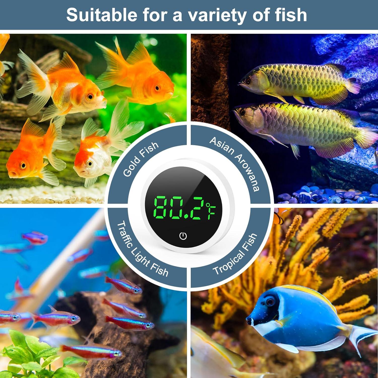 Termómetro Digital de Acuario Ankilo con Pantalla LED HD