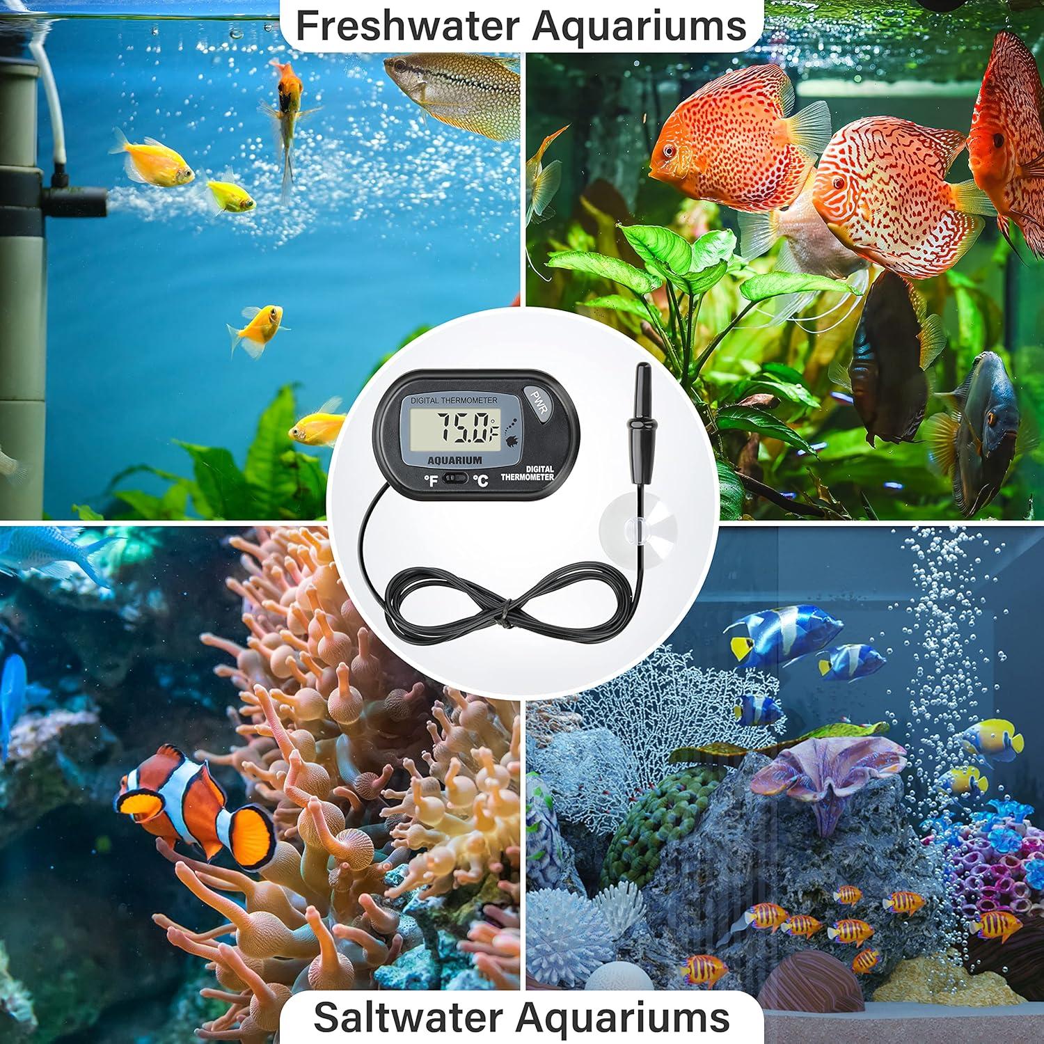 Termómetro Digital LCD Simple Deluxe para Acuario y Terrario