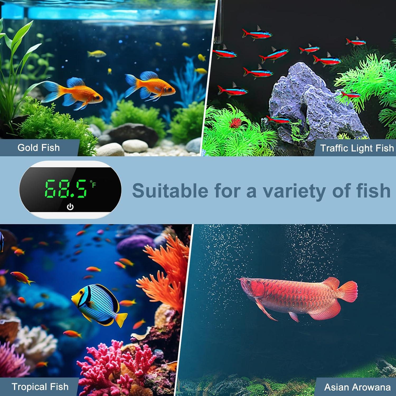 Termómetro Digital para Acuario Ankilo Blanco - Alta Precisión ±1°C