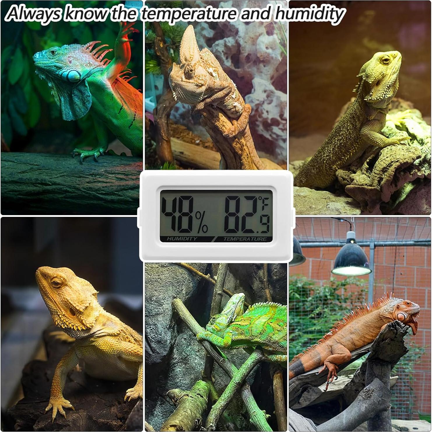 Termómetro Digital Higrómetro Poly para Reptiles 2 en 1