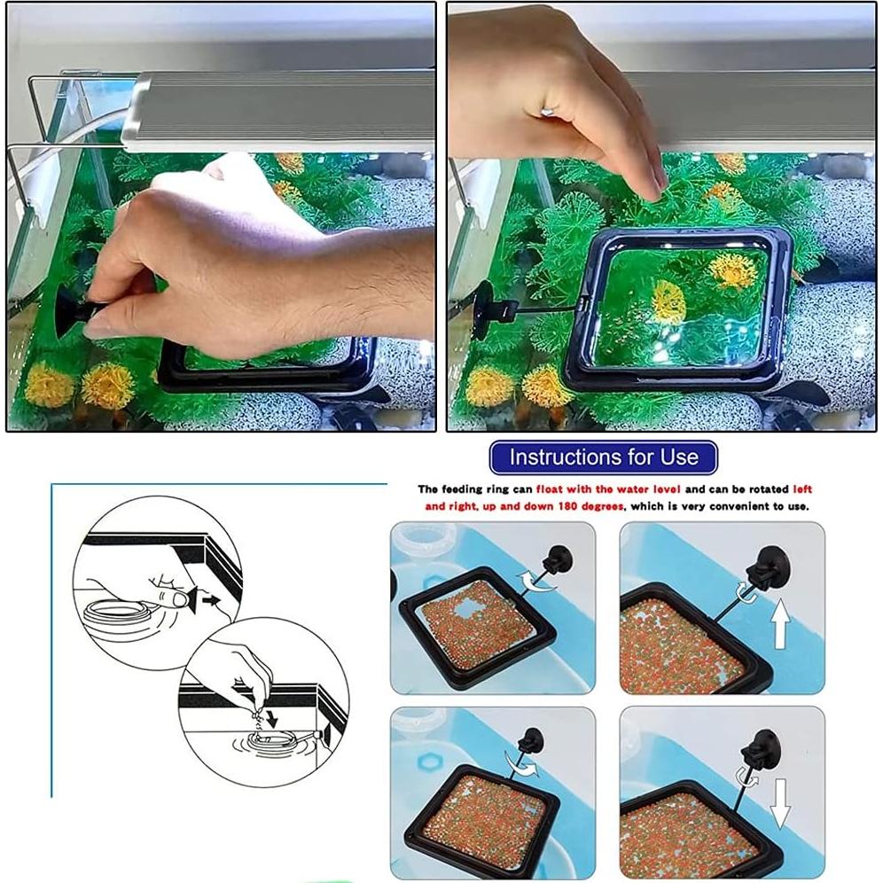 Juego de 2 Anillos Alimentadores para Peces Dbeans + Termómetro