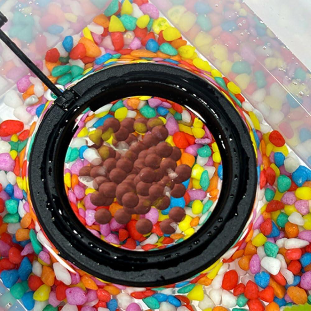 Juego de 2 Anillos Alimentadores para Peces Dbeans + Termómetro