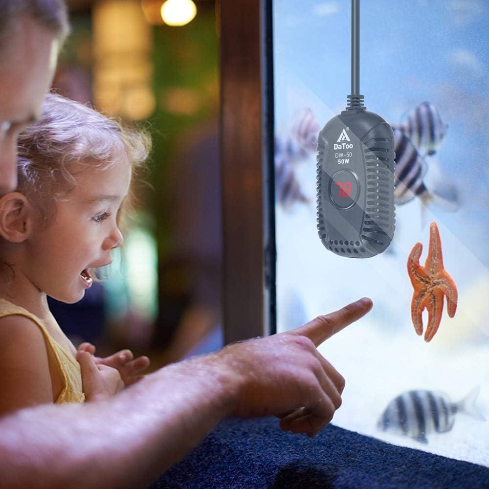 Calentador de Acuario Pequeño DaToo 50W Sumergible LED