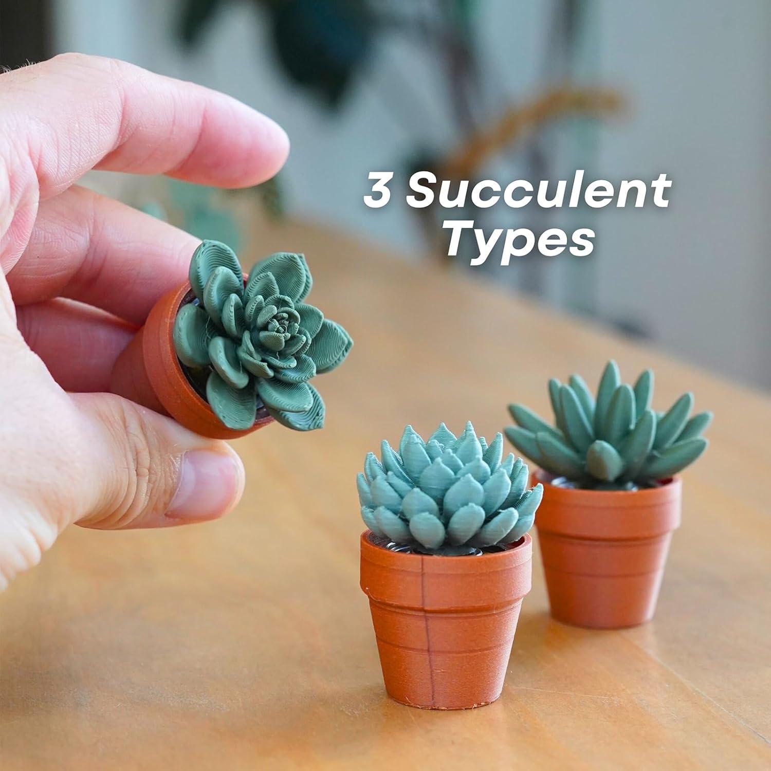 Spinner de Suculenta TIDARORES3D - Alivio de Estrés 3D