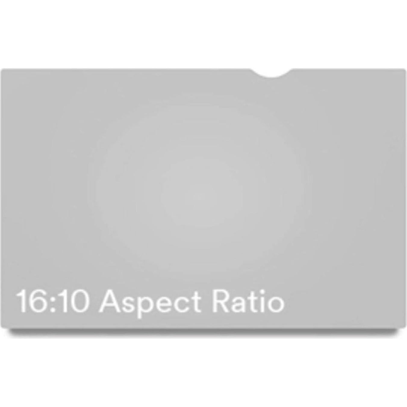 Filtro de Privacidad 3M PF201W1B para Monitor 20.1" Negro