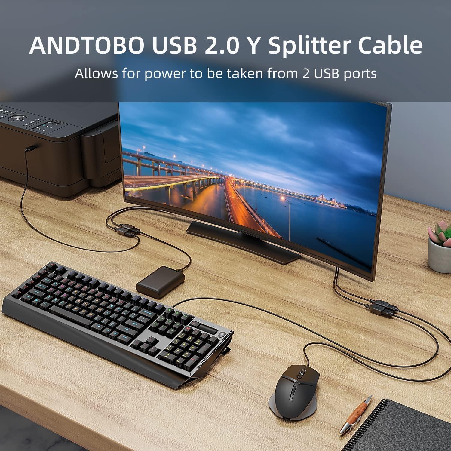 Cable Divisor USB 2.0 ANDTOBO 1 a 2 Hembra 30cm Negro