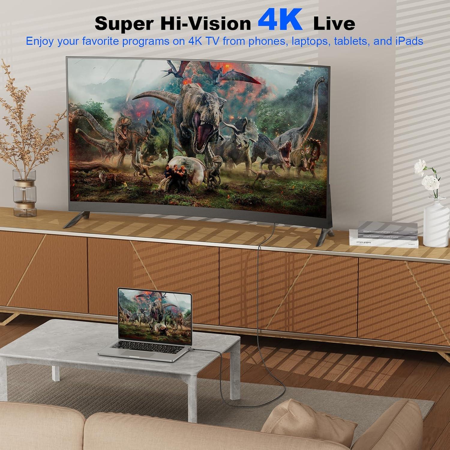 Cable USB C a HDMI 4K 0.46 m Vorothin Gris