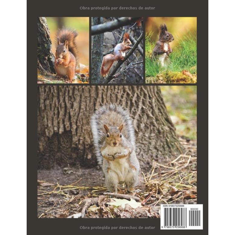 Ardilla: Una colección de fotografías de la ardilla maravillosa para los niños, la demencia, los ancianos, y Alzheimer, amantes de la ardilla ( Libro de imágenes). (Spanish Edition)