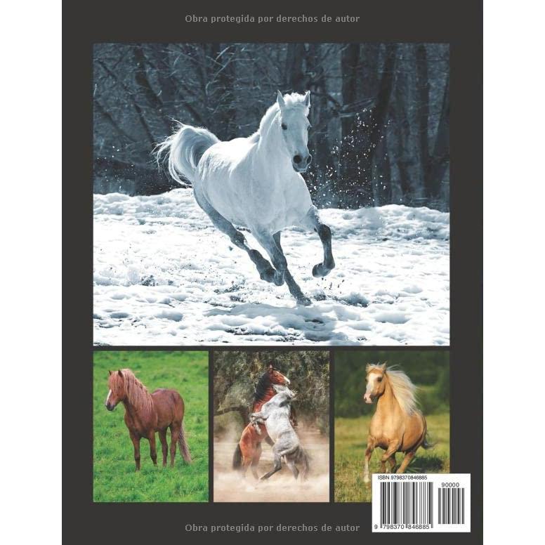Caballos Más Increíbles: La Fotografía de Caballos Maravillosos para Niños, Demencia, Ancianos y Alzheimer, Amantes de los Caballos (Libro de imágenes). (Spanish Edition)