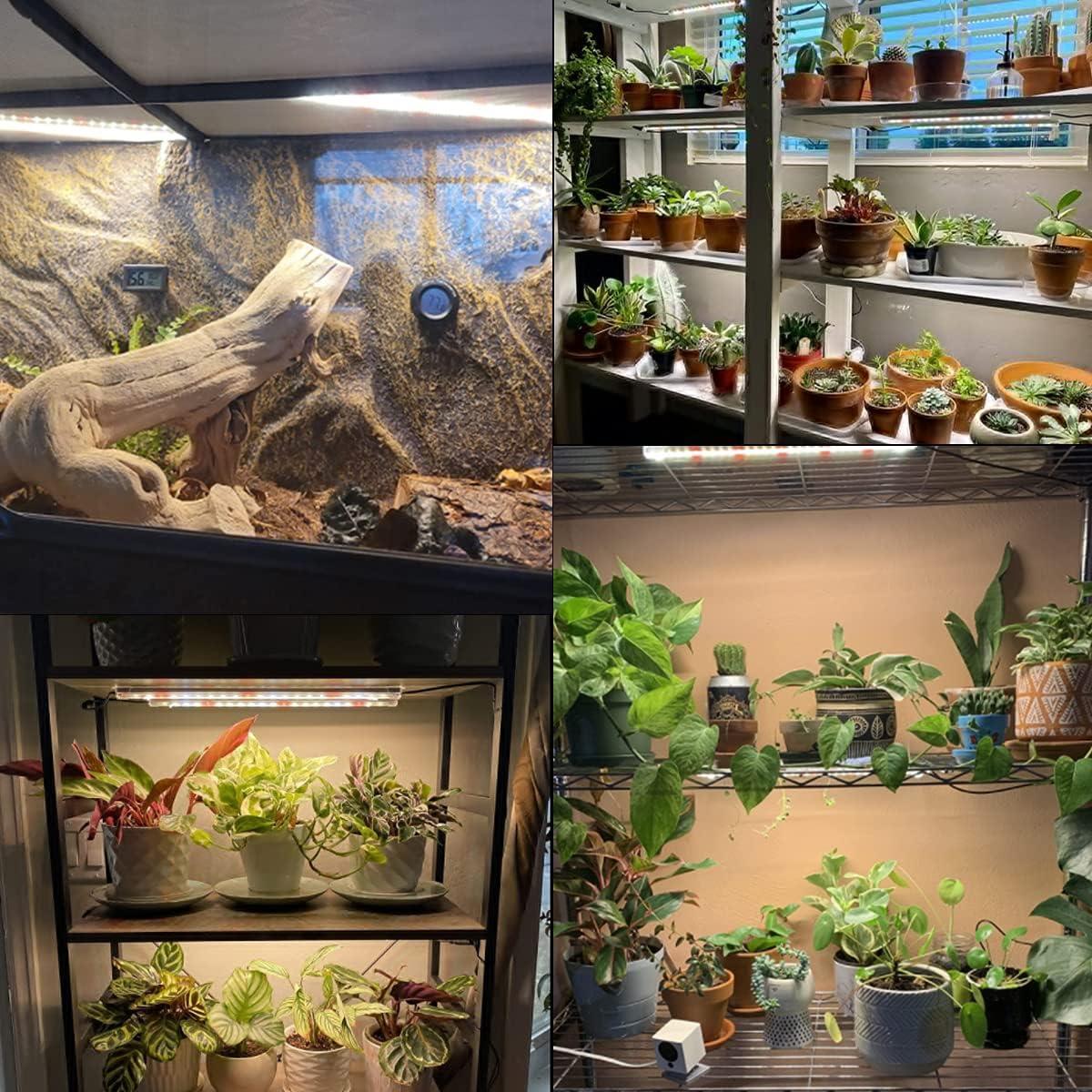 Tira de luz de crecimiento LED GYTF 3500K 34cm regulable