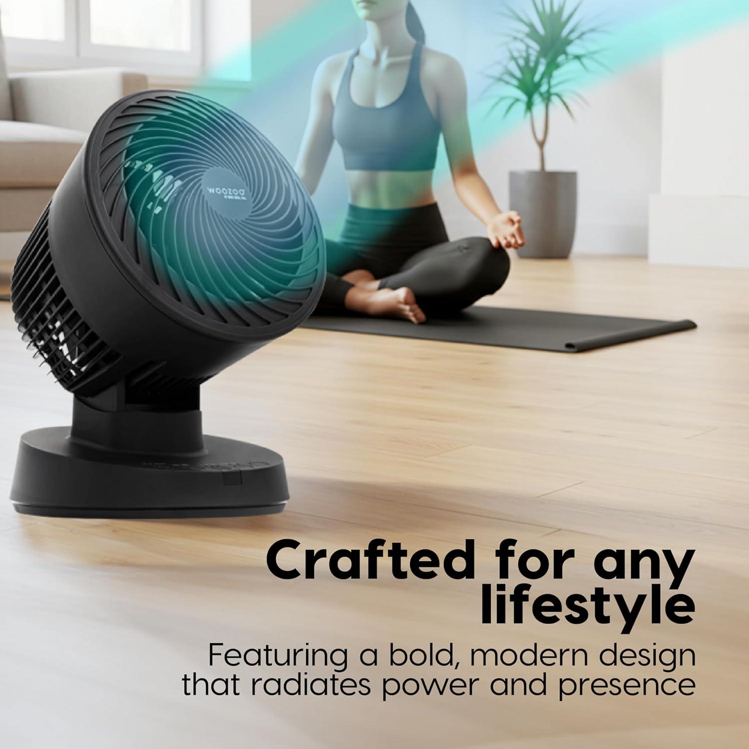 Ventilador Circulador de Aire IRIS WOOZOO 3 Velocidades Negro