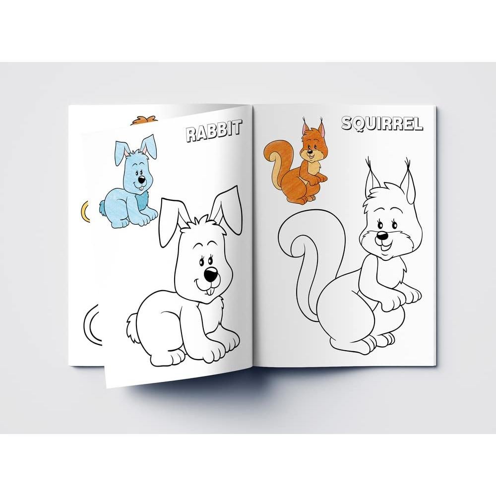 Colouring Book of Animals: Crayon Copy Colour Books (Creative Crayons)