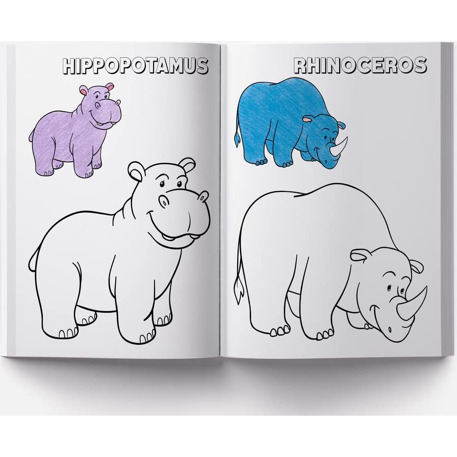 Colouring Book of Animals: Crayon Copy Colour Books (Creative Crayons)