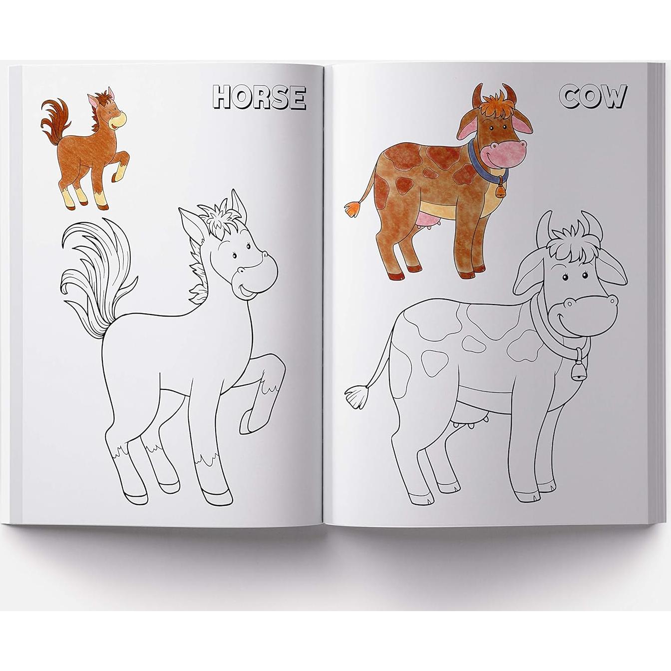 Colouring Book of Animals: Crayon Copy Colour Books (Creative Crayons)