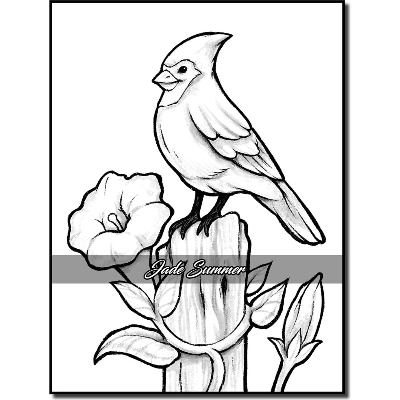 Easy Coloring Book: Large Print Designs for Adults and Seniors with 50 Simple Images of Animals, Flowers, Food, Objects, and More! (Easy Coloring Books)