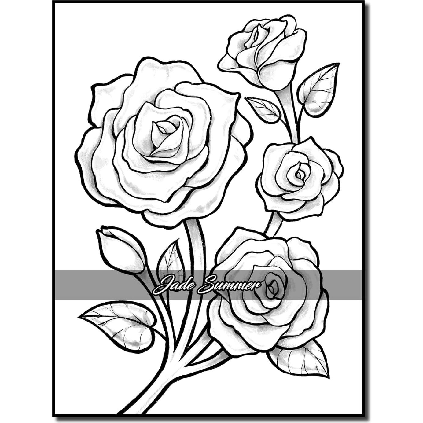 Easy Coloring Book: Large Print Designs for Adults and Seniors with 50 Simple Images of Animals, Flowers, Food, Objects, and More! (Easy Coloring Books)