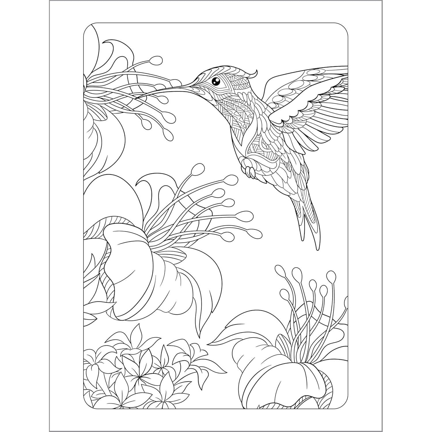 Anxiety Relief Coloring Book for Adults: Mindfulness Coloring to Soothe Anxiety