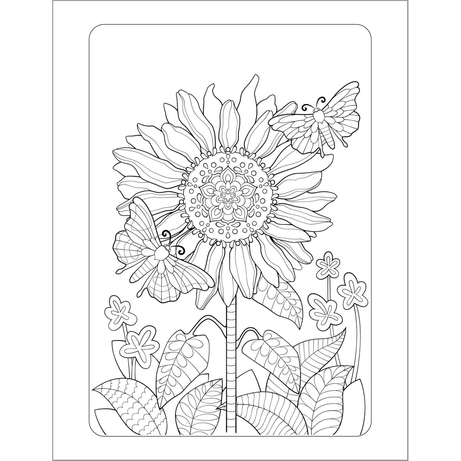 Anxiety Relief Coloring Book for Adults: Mindfulness Coloring to Soothe Anxiety