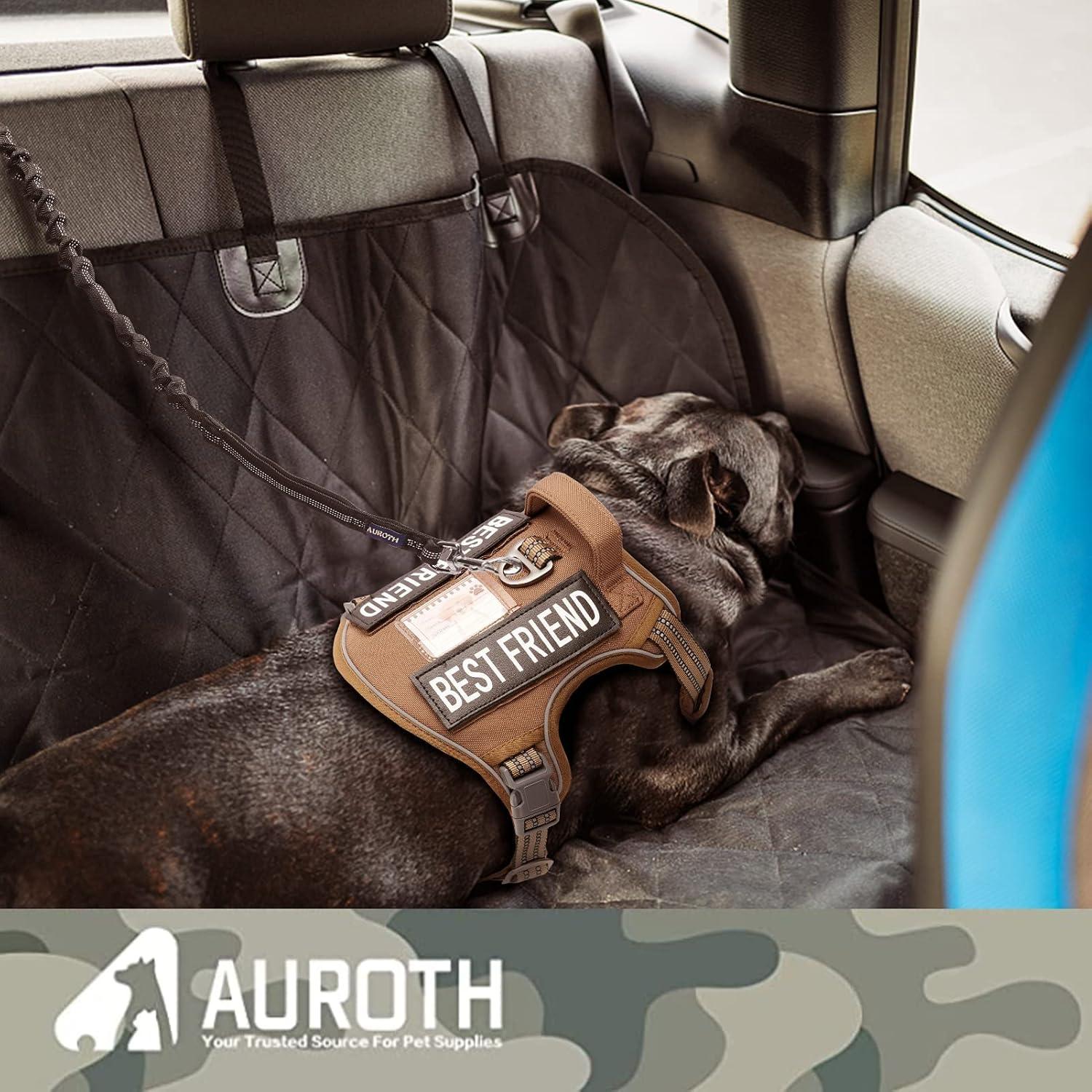 Correa Bungee para Perro AUROTH 4.5FT/6FT Alta Resistencia