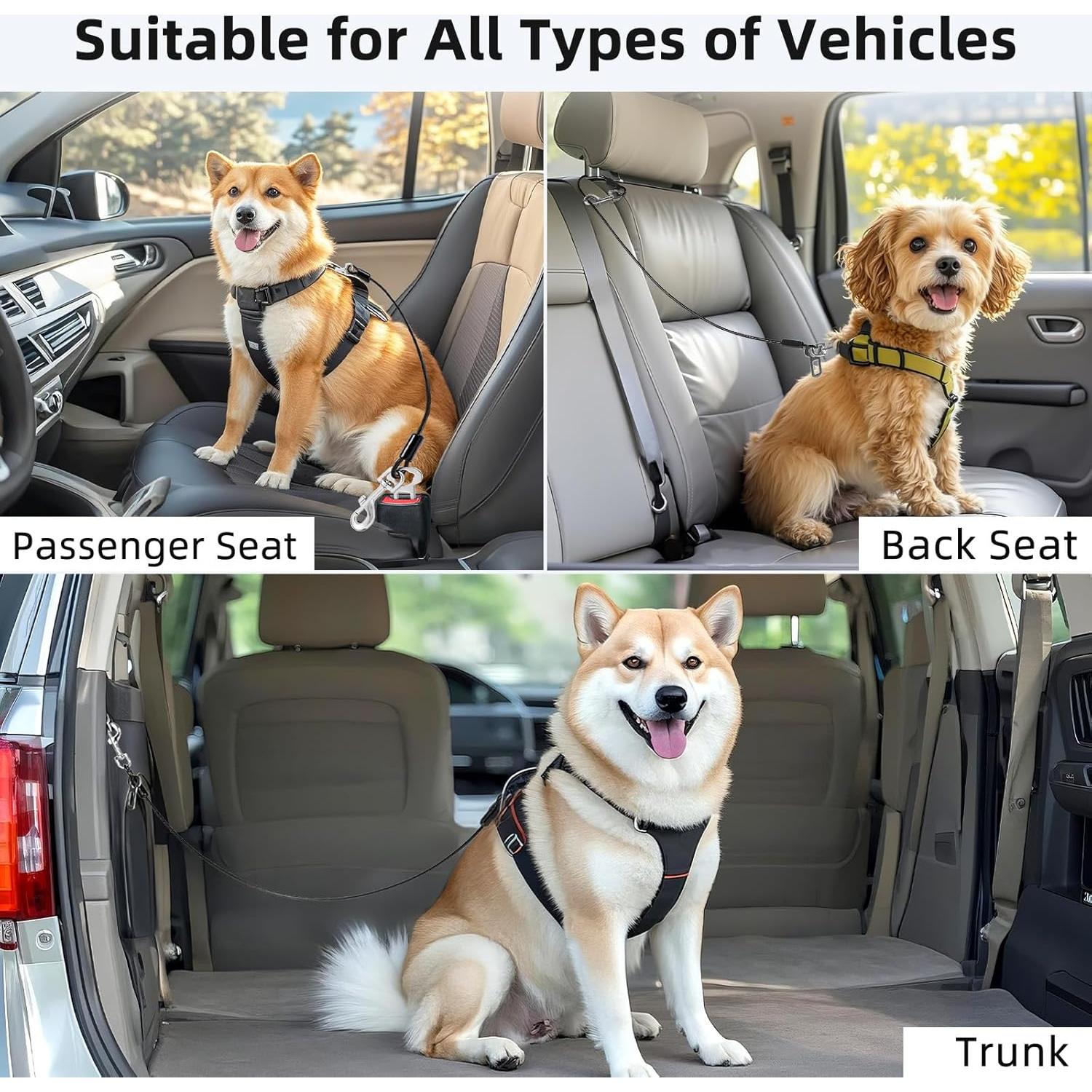 Cinturón de Seguridad para Perros VavoPaw 40 cm Negro