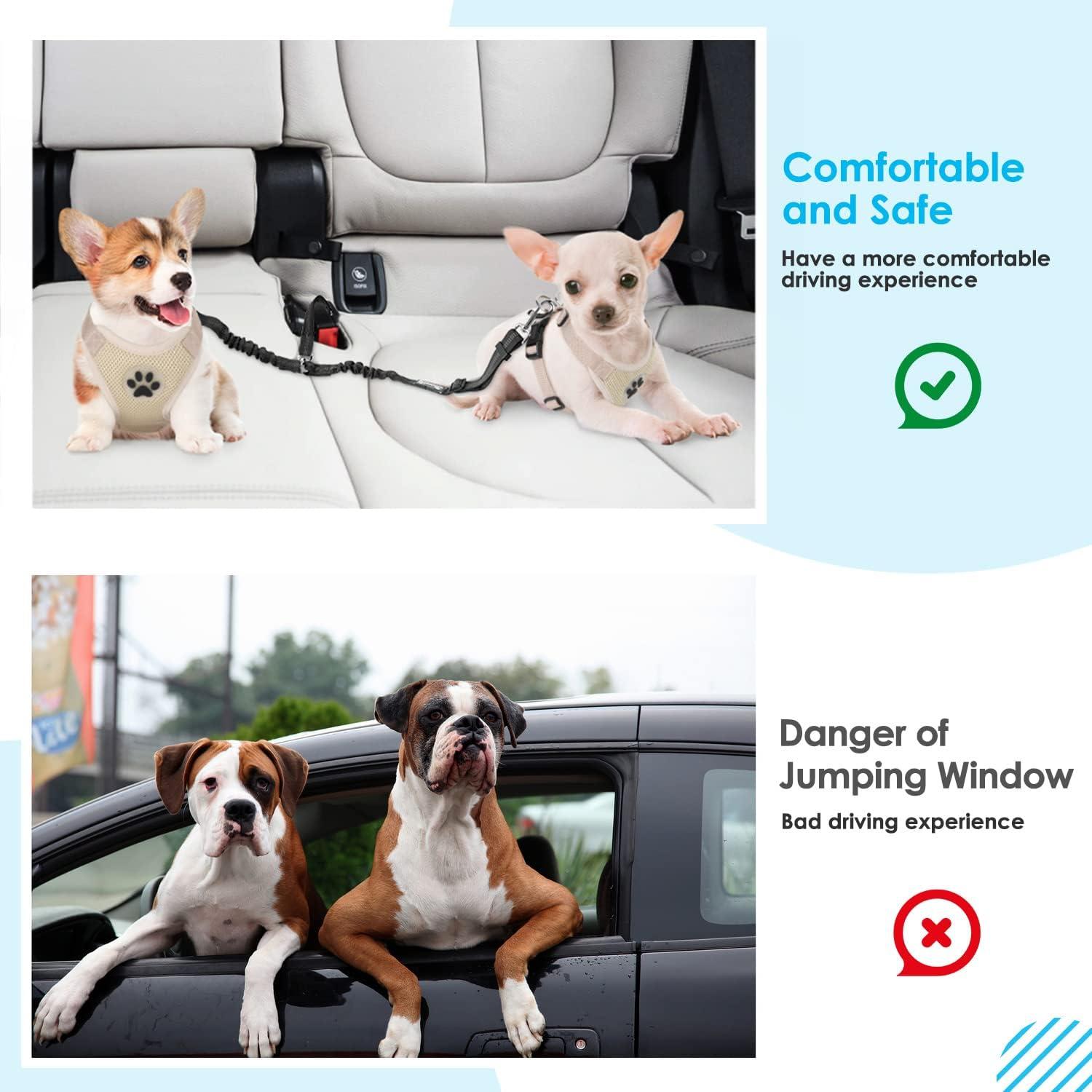 Cinturón de Seguridad para Perros SlowTon Ajustable Negro S