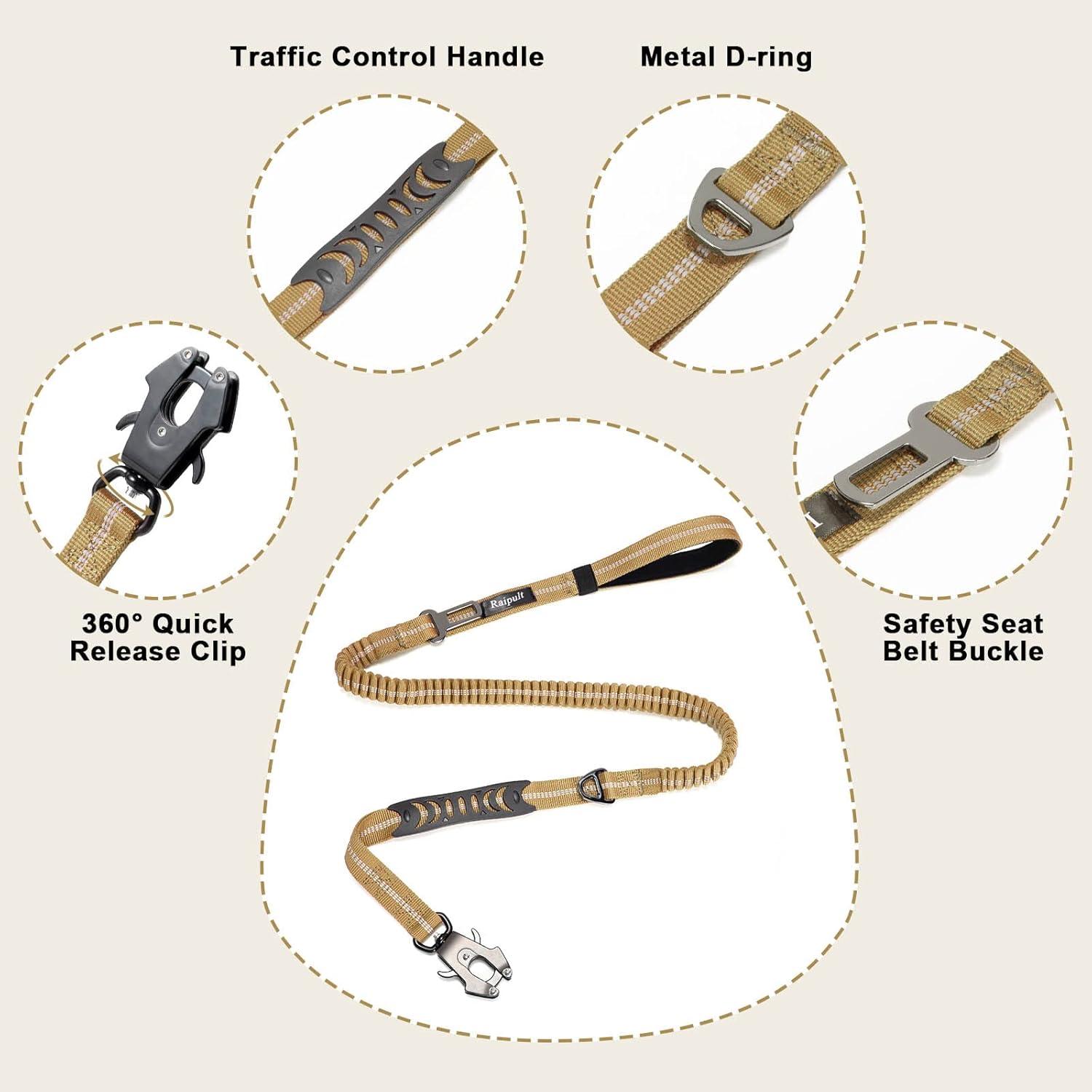 Correa de Perro Bungee Raipult 1.22-1.83m Alta Resistencia