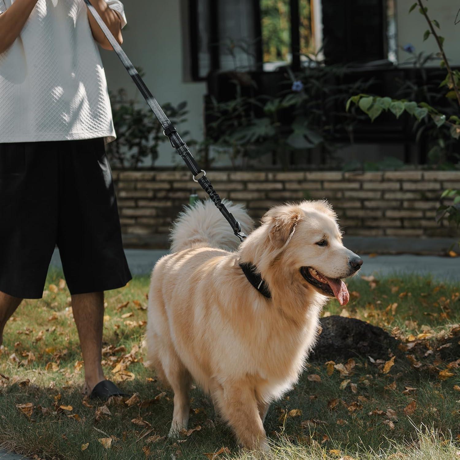 Cinturón de Seguridad para Mascotas OneTigris Ajustable 141-150cm