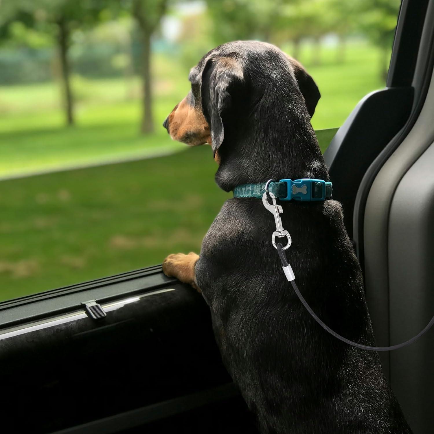 Cinturón de Seguridad para Perros Mogoko 61 cm Acero Inoxidable